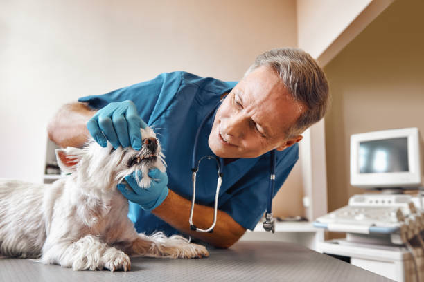 Best Emergency Wisdom Teeth Removal in Mion, AR
